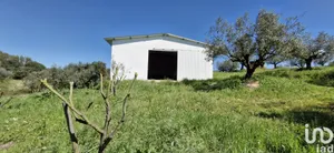 Terreno em Fráguas
