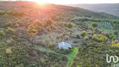 Farm land  in Paranhos