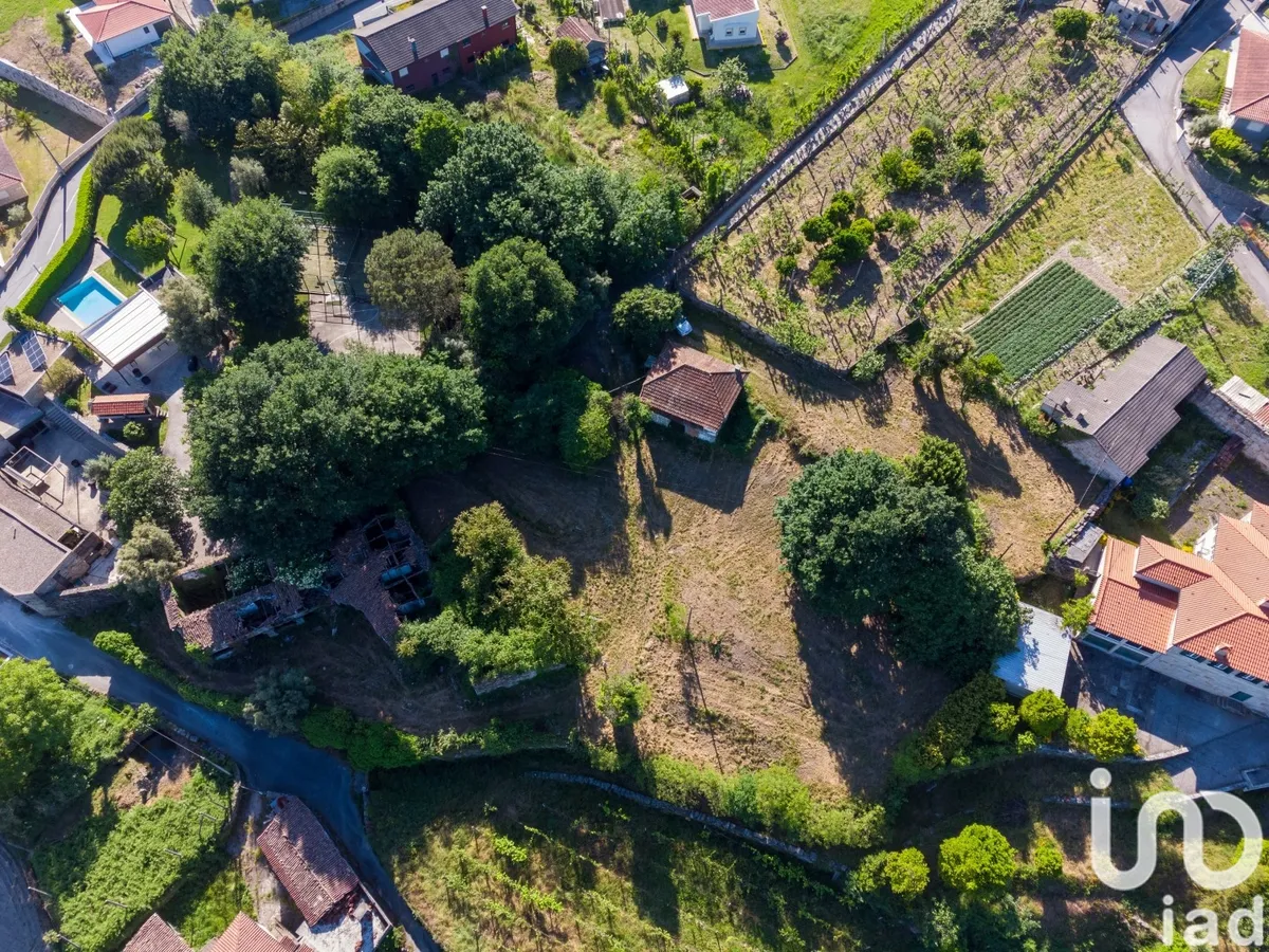 Terreno de 3640 m² em Vilela