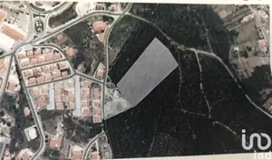 Shop/Premises commercial in Castanheira de Pêra e Coentral