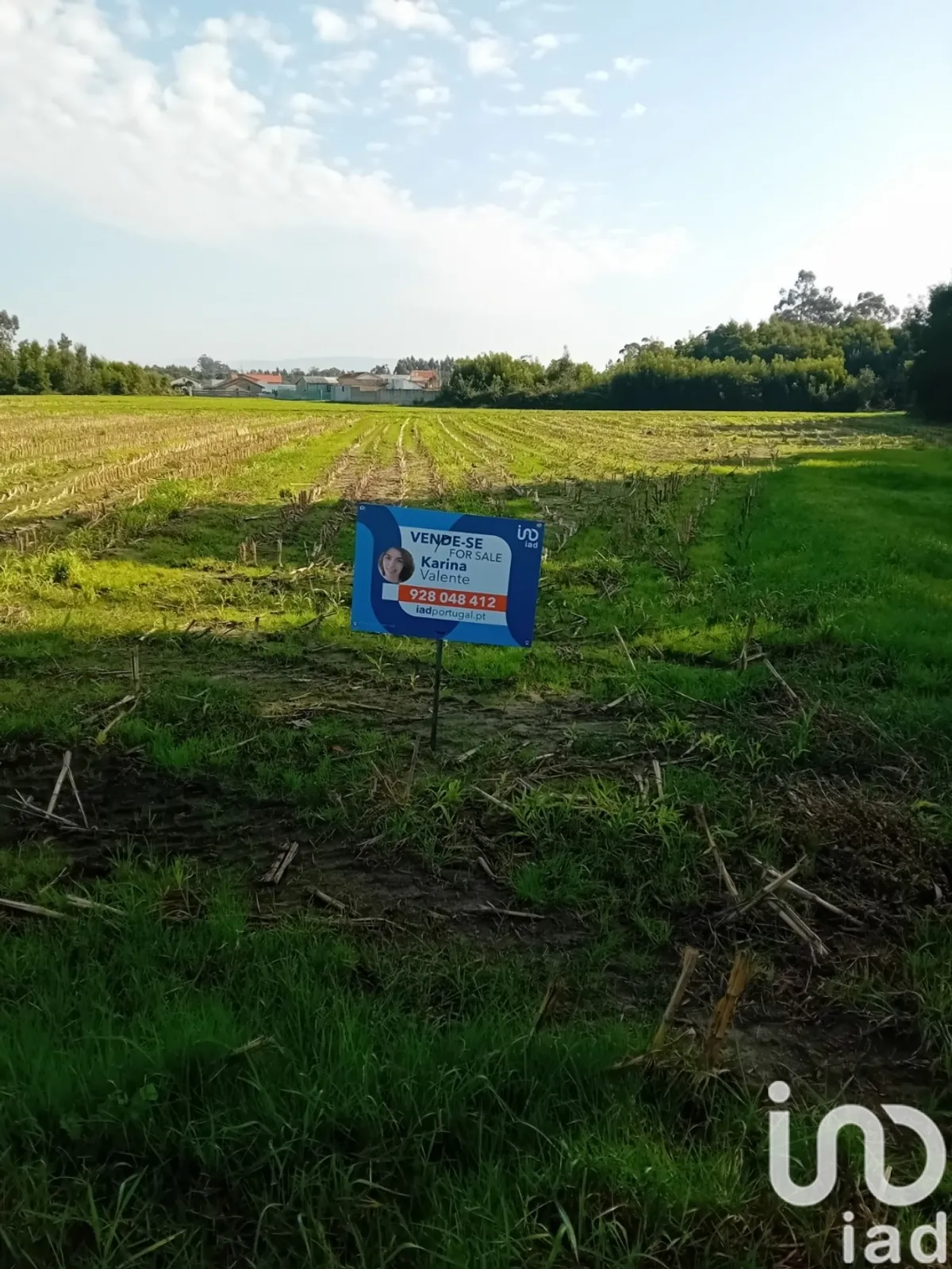 Terreno rústico de 1250 m² em Pardilhó