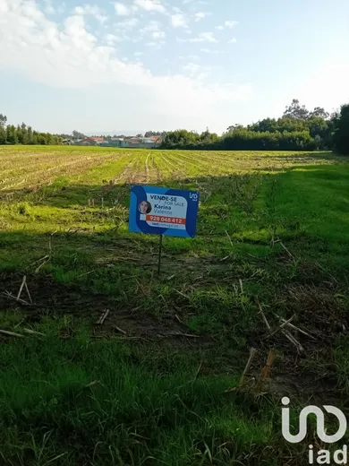 Farm land at Pardilhó