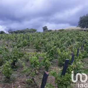 Terreno em Barcos e Santa Leocádia
