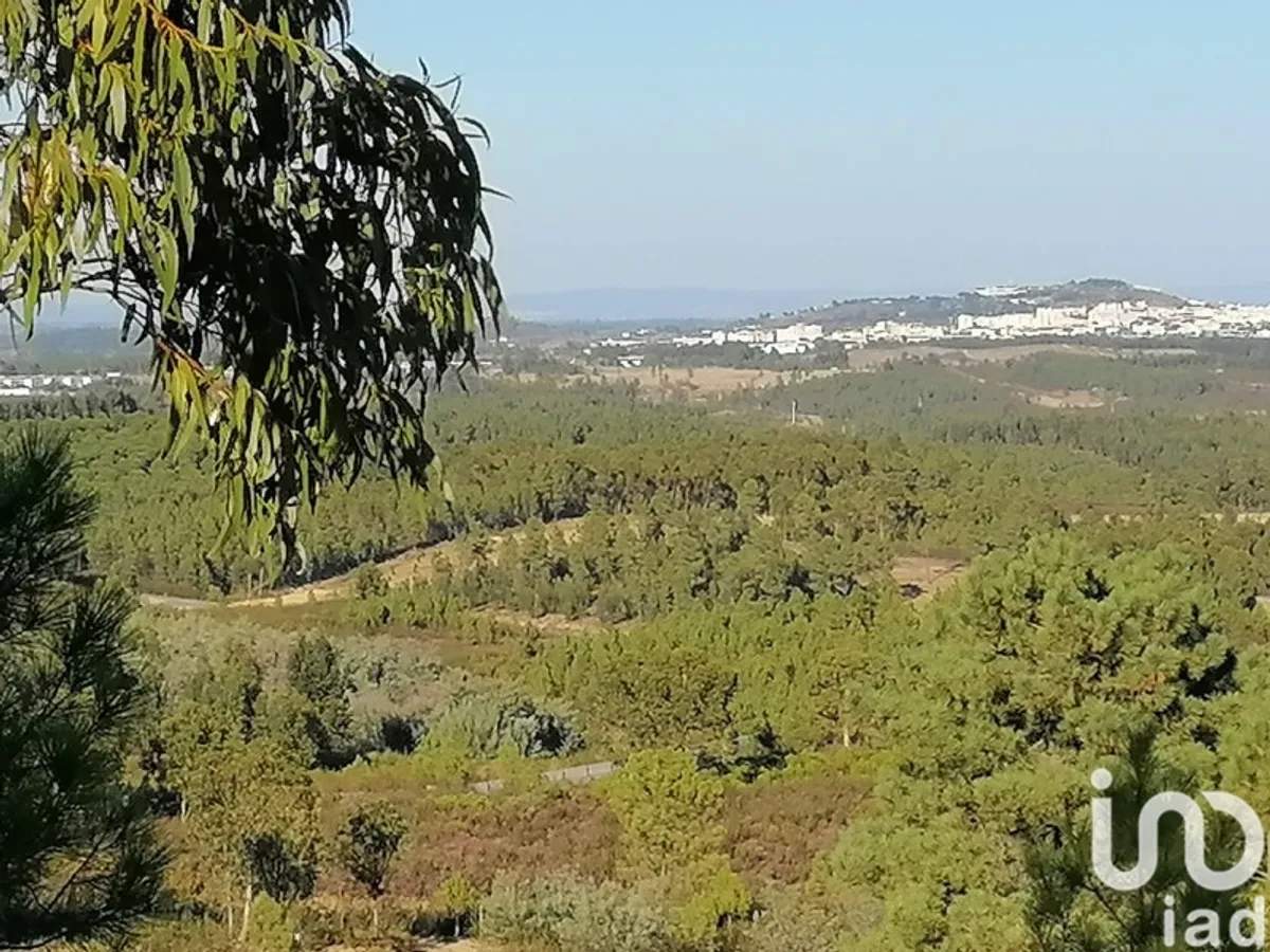 Terreno de 9500 m² em Cebolais de Cima e Retaxo