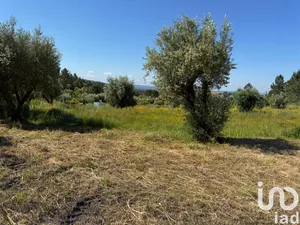 Terreno urbano em Casais e Alviobeira