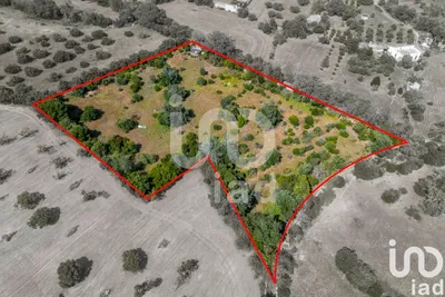 Fotografia 2 de Terreno de 10 000 m² em Loulé (São Clemente)