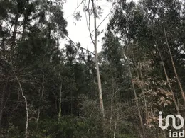 Terreno em Santiago e São Simão de Litém e Albergaria dos Doze