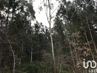 Terreno  em Santiago e São Simão de Litém e Albergaria dos Doze