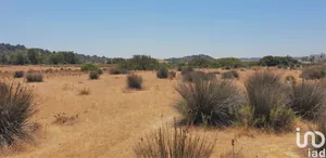 Terrain à Algoz e Tunes