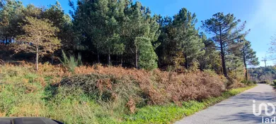 Land  in Moledo