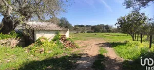 Terreno urbano em Boliqueime