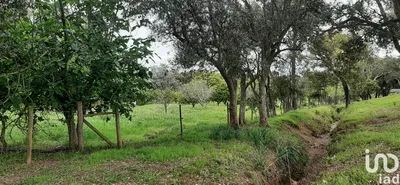 Fotografia 3 de Terreno de 920 000 m² em Cercal