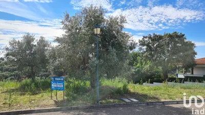 Fotografia 3 de Terreno de 647 m² em Chamusca e Pinheiro Grande