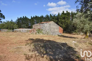 Land  in Condeixa-a-Velha e Condeixa-a-Nova