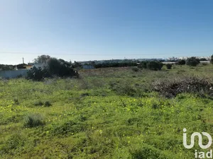 Land in Faro (Sé e São Pedro)