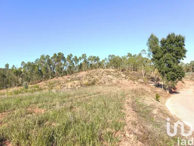 Fotografia 3 de Terreno de 6354 m² em Vila Nova de Monsarros