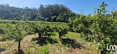 Terreno  em Azueira e Sobral da Abelheira