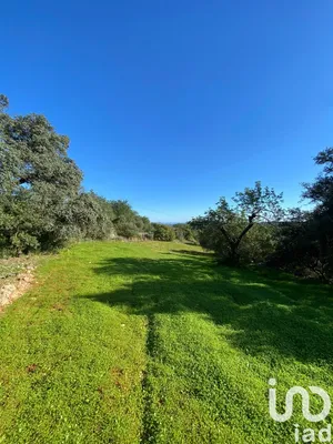 Land  at São Brás de Alportel