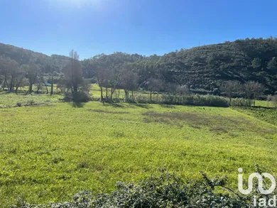 Terreno em Santo Isidoro