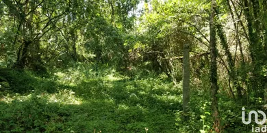 Terreno em Luzim e Vila Cova