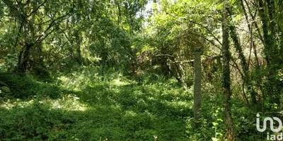 Fotografia 3 de Terreno de 4900 m² em Luzim e Vila Cova