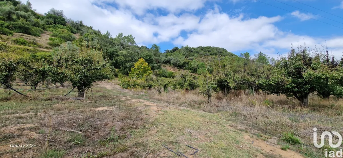 Terreno de 18 259 m² em Azueira e Sobral da Abelheira
