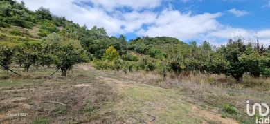 Terreno em Azueira e Sobral da Abelheira