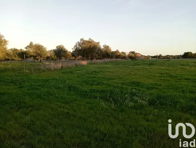 Terreno  em Vale de Santarém
