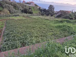Terreno em Canhas