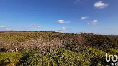 Fotografia 6 de Terreno rústico de 4370 m² em Monte Brito
