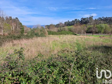 Farm land  in Pico de Regalados, Gondiães e Mós
