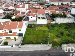 Land  at Alpiarça