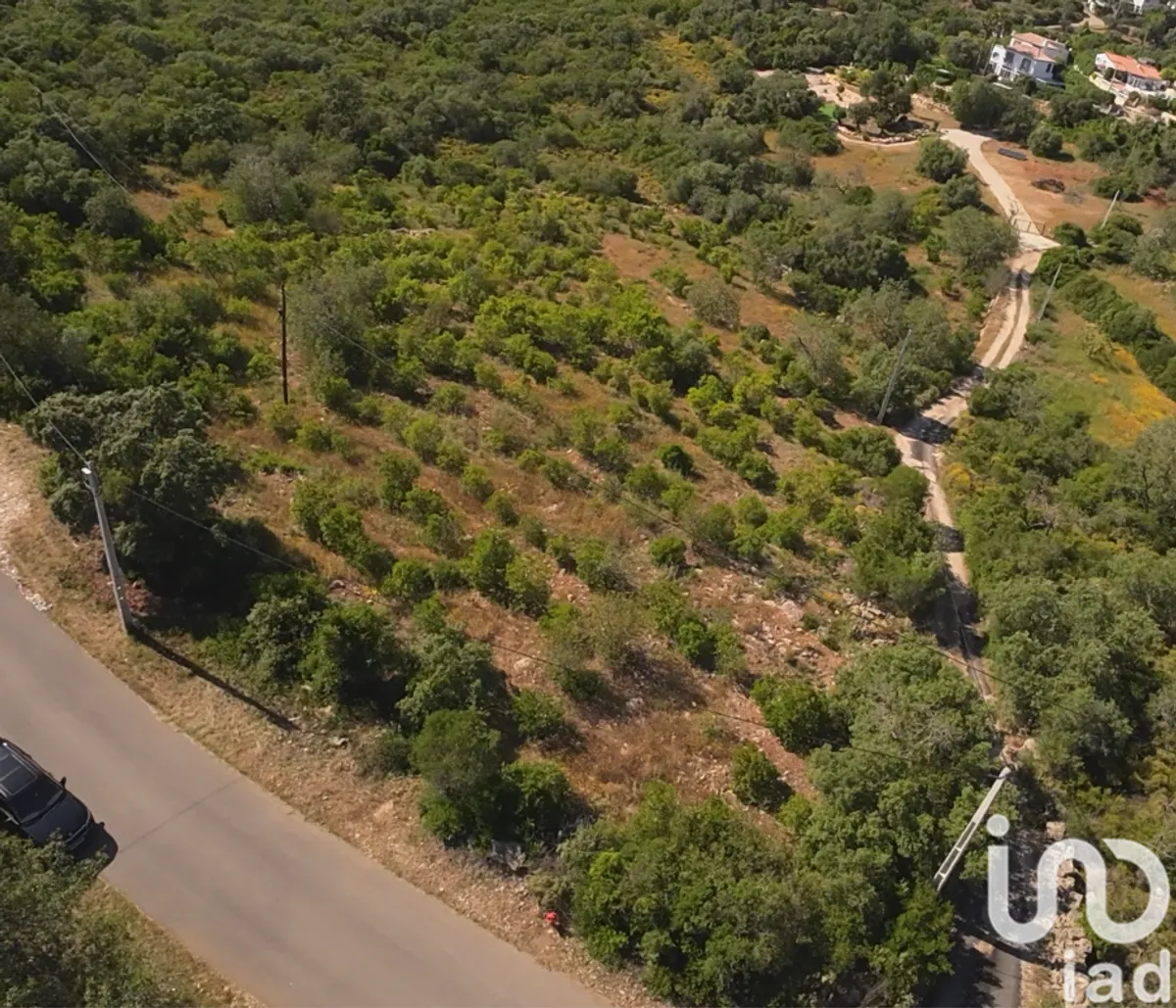 Terreno de 7320 m² em Conceição e Estoi