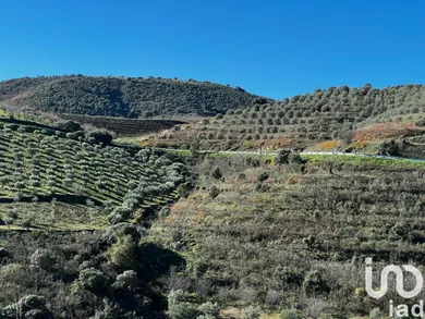 Farm  in Freixo de Numão