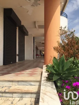 Loja / Estabelecimento Comercial em Costa da Caparica