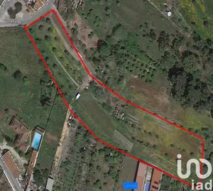 Building plot at Chamusca e Pinheiro Grande