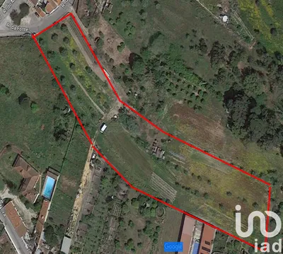 Fotografia 6 de Terreno de 712 m² em Chamusca e Pinheiro Grande