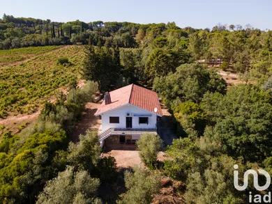 Farm in Azeitão (São Lourenço e São Simão)