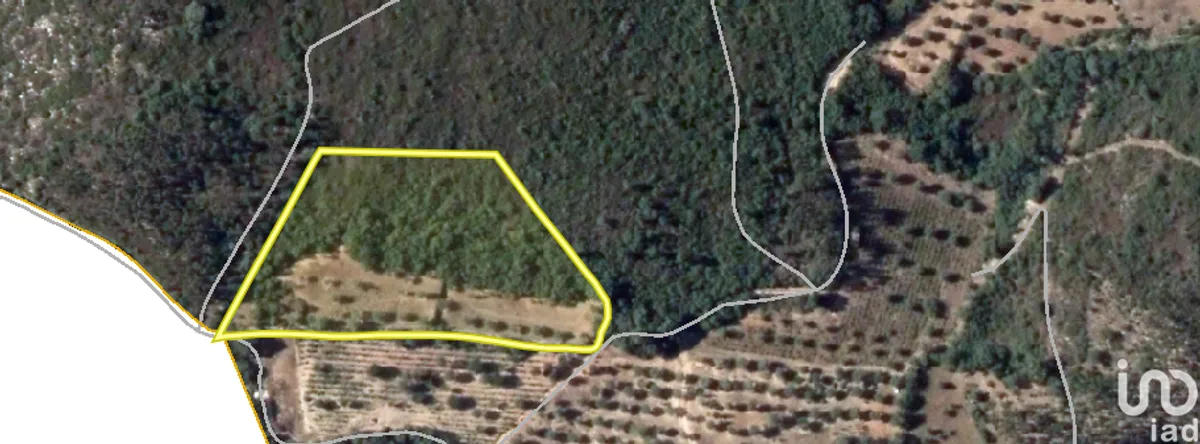Terreno de 8880 m² em Chãos