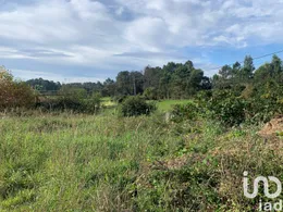 Terrain  à Mujães