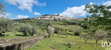 Farm land at Santa Maria da Devesa