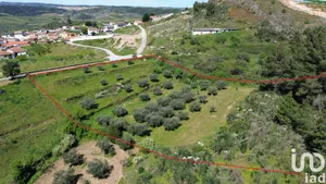 Terreno em Veiga de Lila