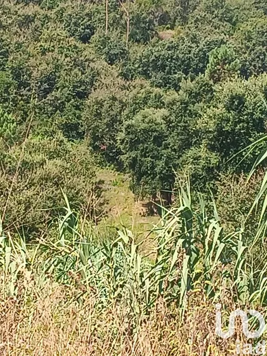 Land at Alcobaça e Vestiaria