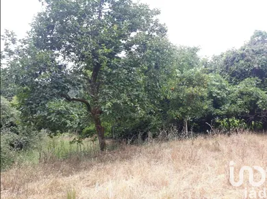 Quinta  em Ribeira de Nisa e Carreiras