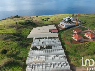 Terreno urbano em Prazeres