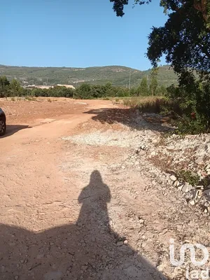 Farm land at Évora de Alcobaça