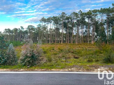 Terreno urbano  em Monte Redondo e Carreira
