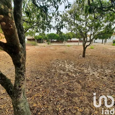 Terreno urbano  em Muge
