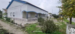 Farm in Torrão