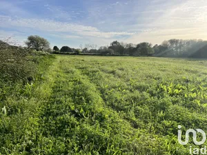 Land  at Belinho e Mar